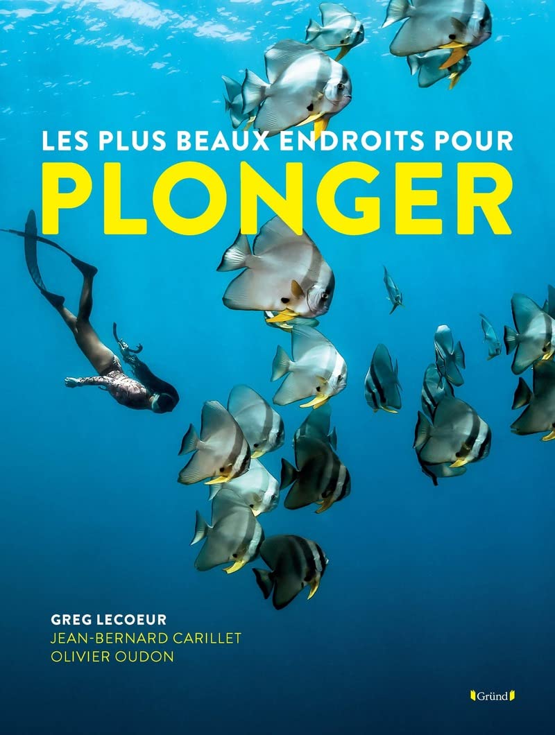 Les plus beaux endroits pour Plonger Travel