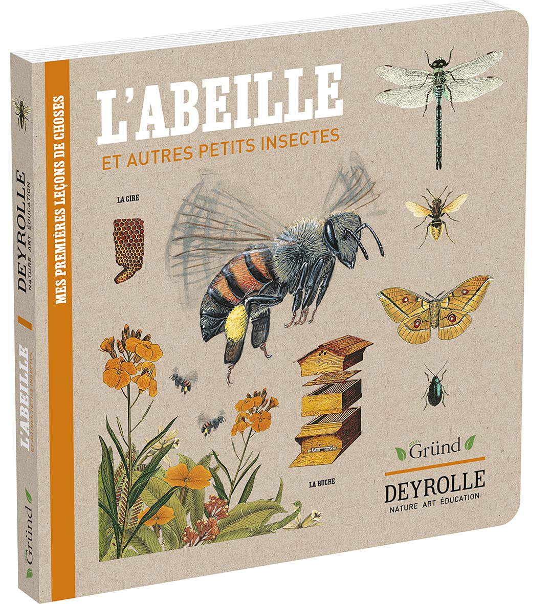 L'abeille et autres petits insectes - Deyrolle Living & Furnishing