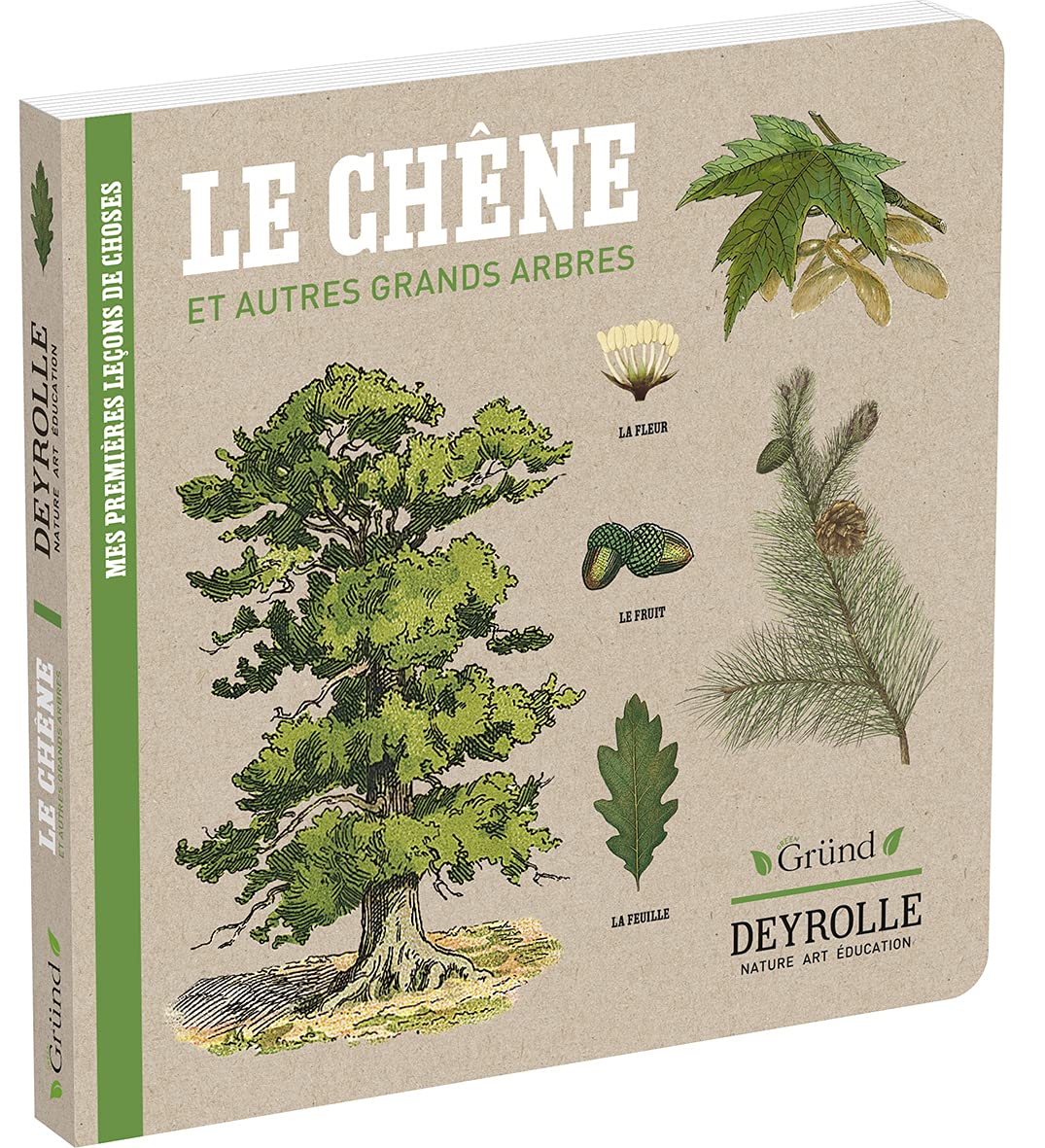 Le Chêne et autres grands arbres - Deyrolle Living & Furnishing