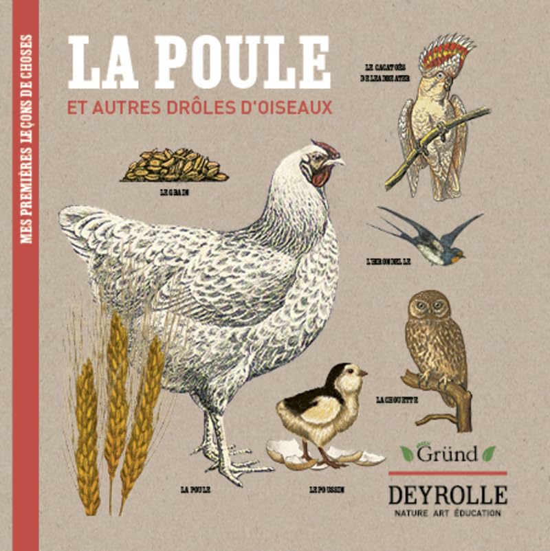 La poule et autres drôles d'oiseaux Deyrolle Non-fiction
