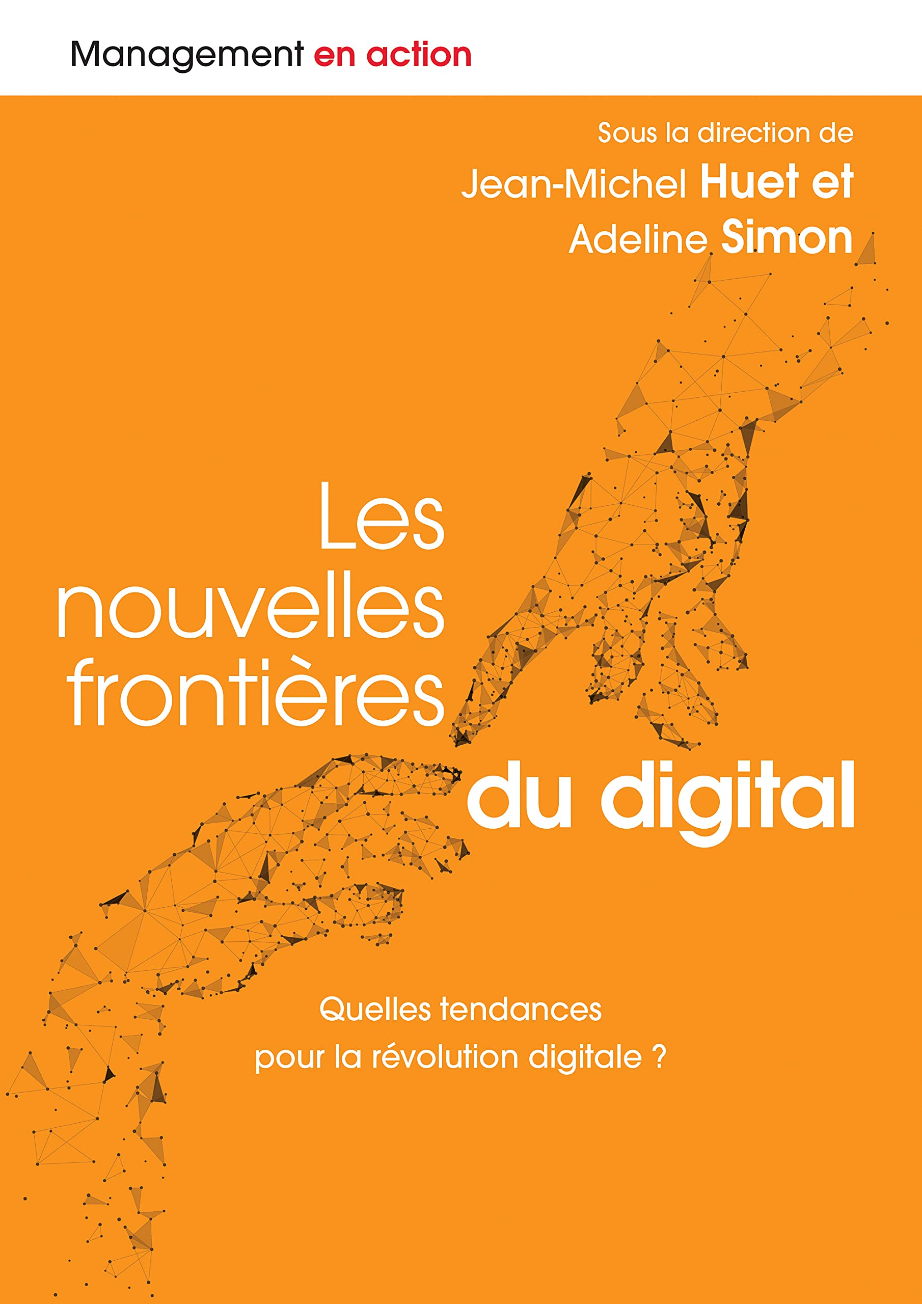 LES NOUVELLES FRONTIERES DU DIGITAL book