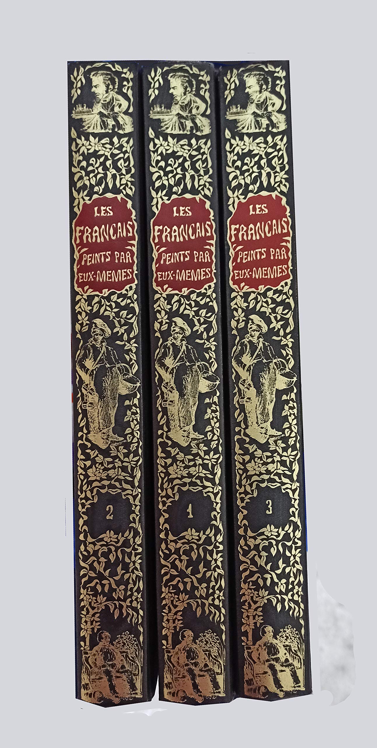 Les français peints par eux-mêmes, encyclopédie morale du XIXe siècle. Tome 10 book