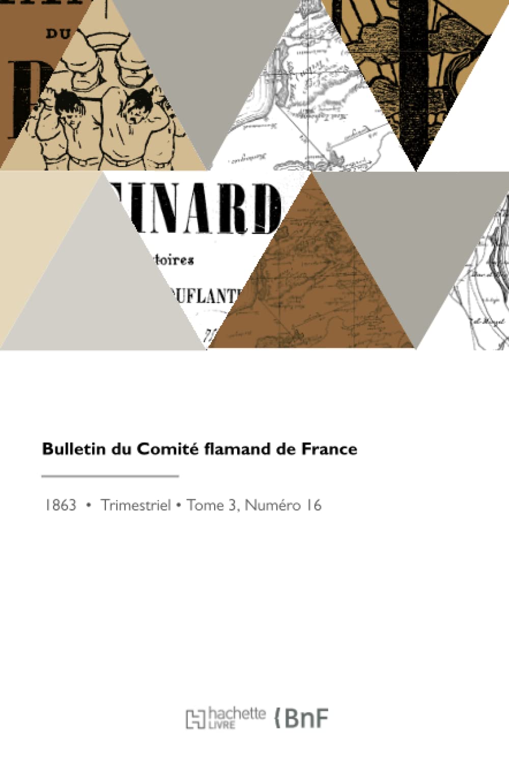 Bulletin du Comité flamand de France book