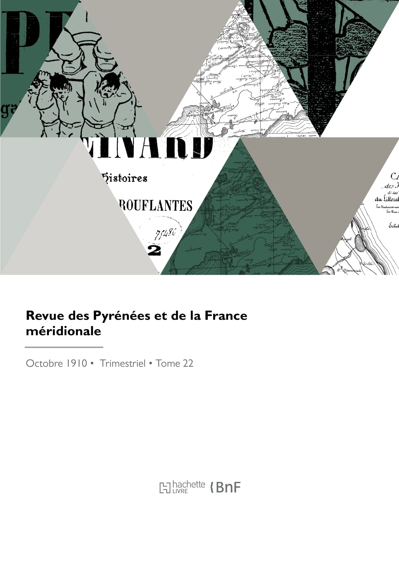 Revue des Pyrénées et de la France méridionale book