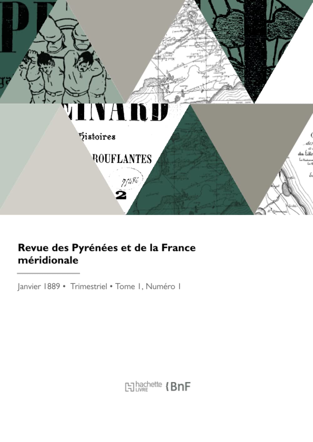 Revue des Pyrénées et de la France méridionale book
