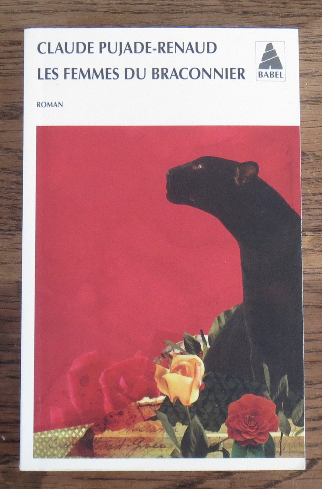 Les Femmes Du Braconnier Contemporary literature