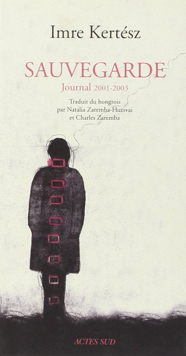 Sauvegarde: Journal 2001-2003 Books