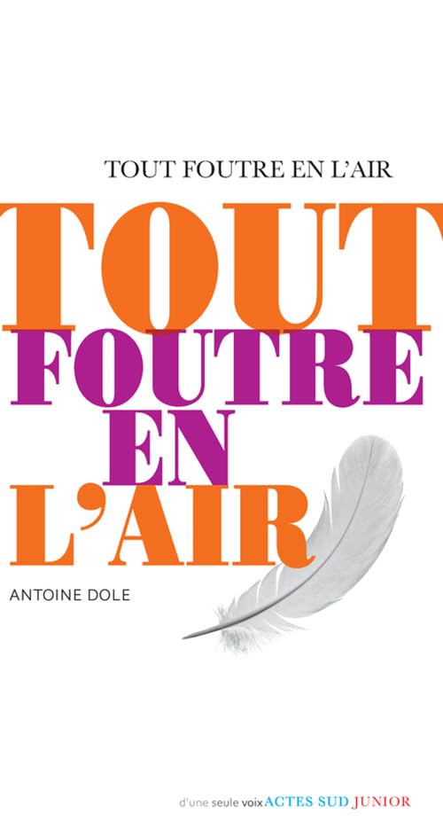 Tout foutre en l'air book
