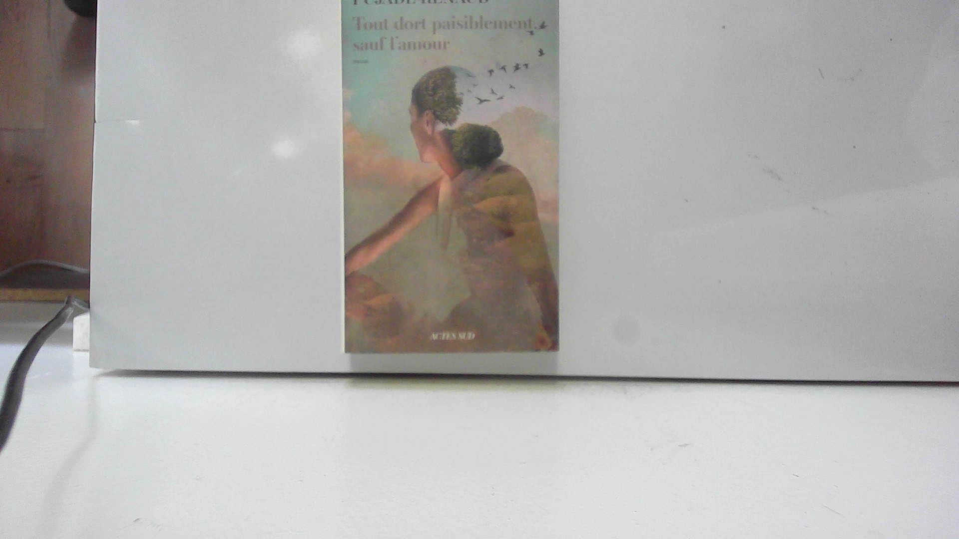 Tout dort paisiblement, sauf l'amour book