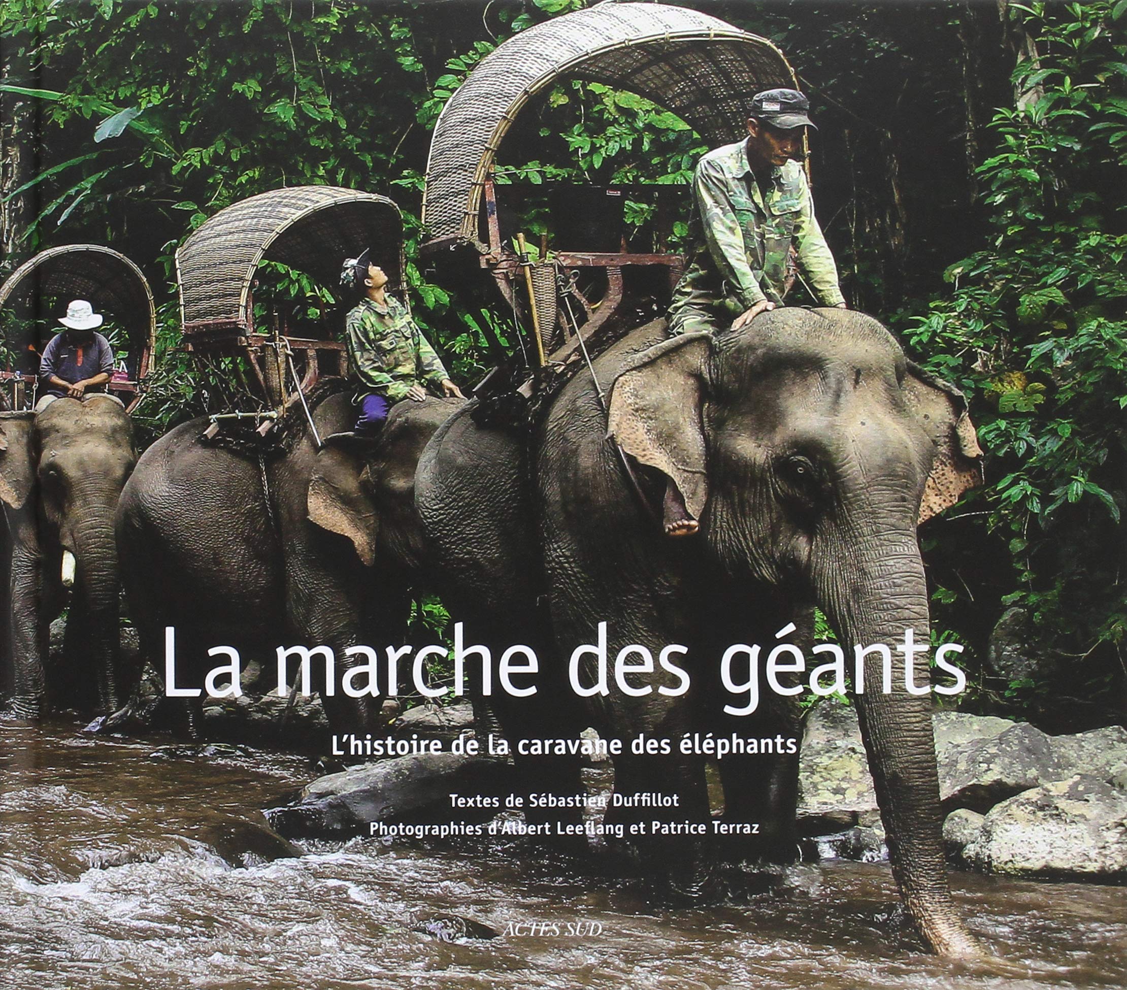 La Marche des Géants: L'histoire de la Caravane des éléphants Leisure, Home & Garden