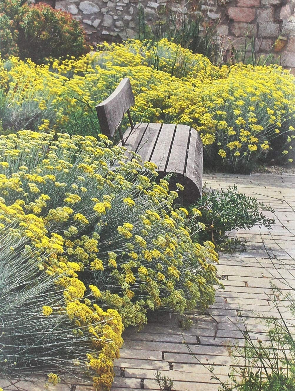 Le Jardin des migrations: Un parcours ethnobotanique au Mucem Leisure, Home & Garden