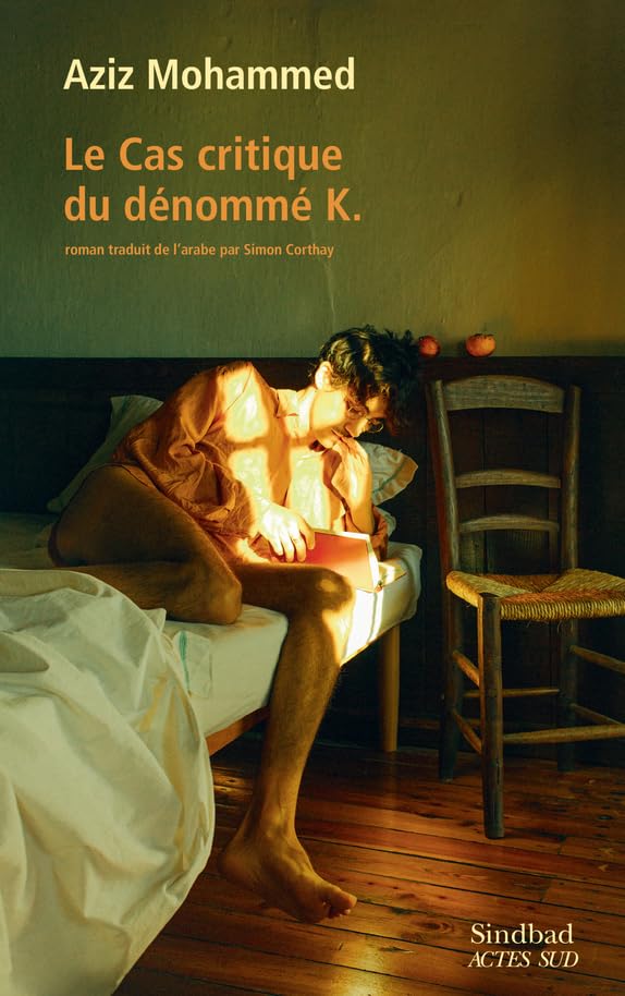 Le Cas critique du dénommé K Contemporary literature
