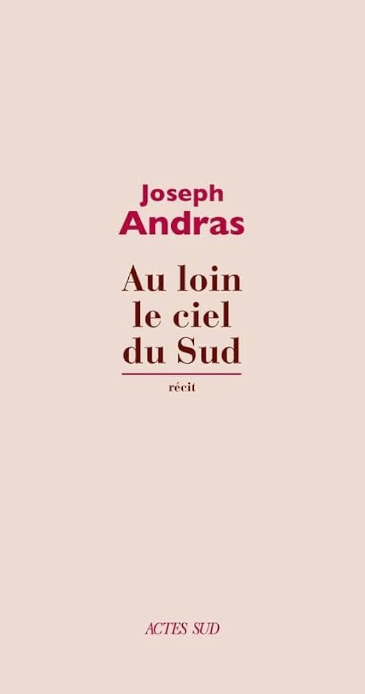 Au loin le ciel du Sud book