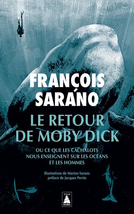 Le retour de Moby Dick: ou ce que les cachalots nous enseignent sur les océans et les hommes Leisure, Home & Garden