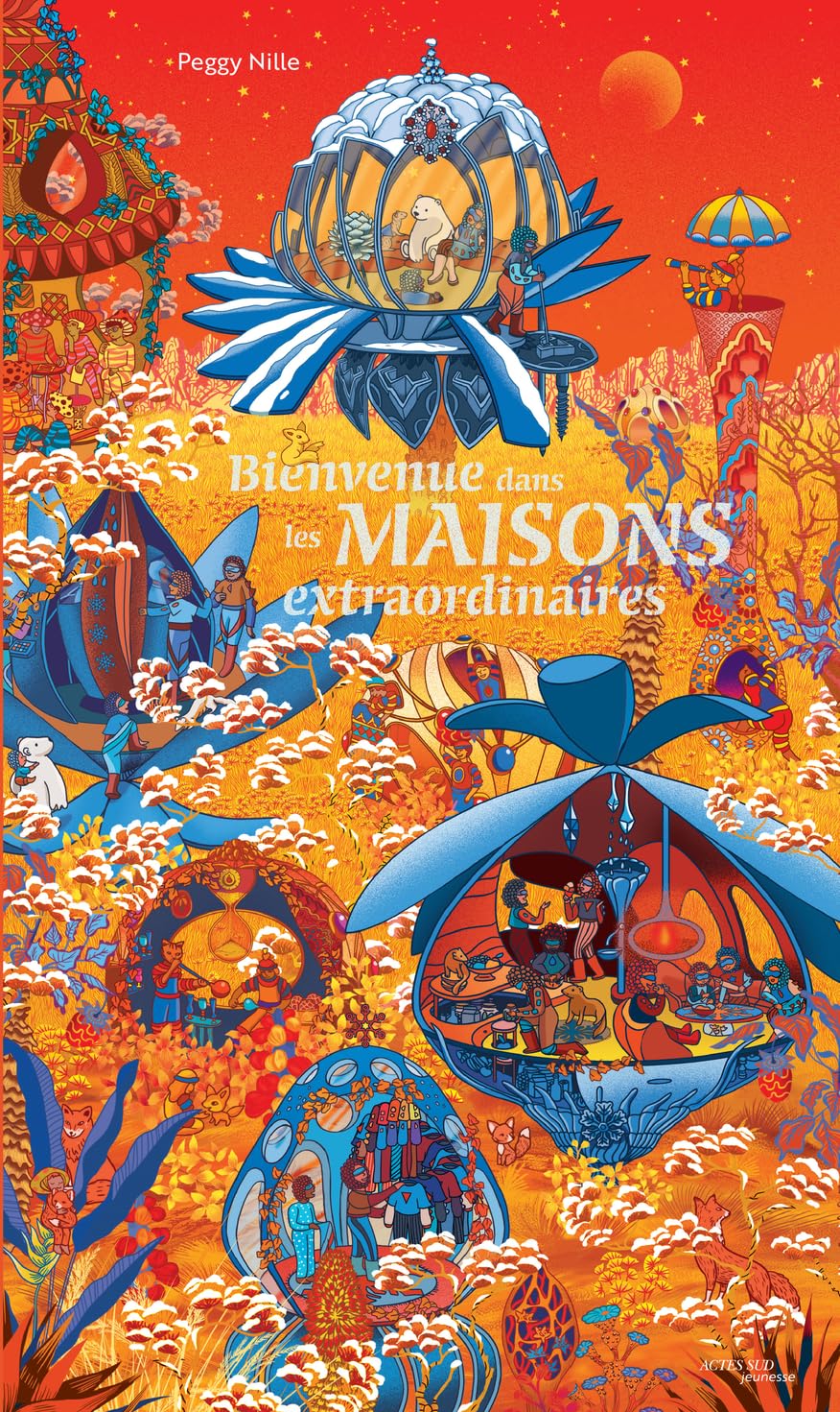 Bienvenue dans les maisons extraordinaires Children's books
