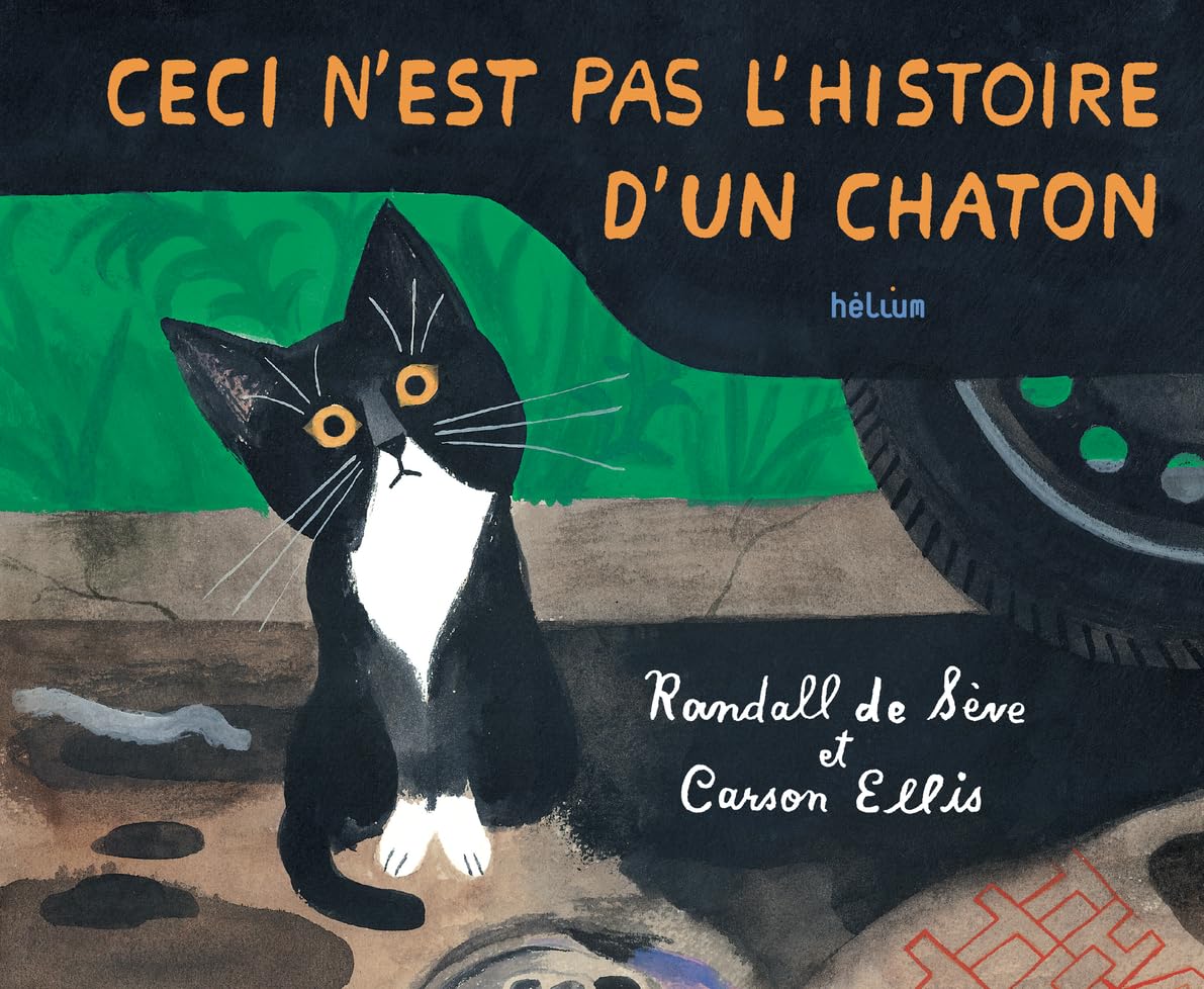 Ceci n'est pas l'histoire d'un chaton Children's books
