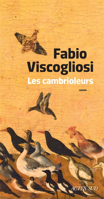 Product Image: Les cambrioleurs