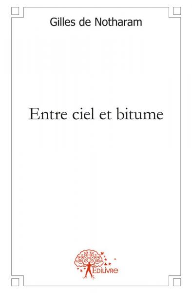 Entre ciel et bitume : 42,195 bornes d'un marathon poétique book
