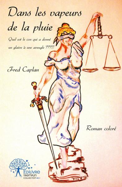 Dans les vapeurs de la pluie : Quel est le con qui a donné un glaive à une aveugle ? : Roman coloré book