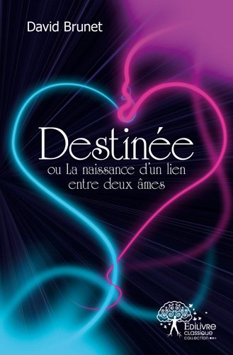 Destinée ou la naissance d'un lien entre deux âmes book
