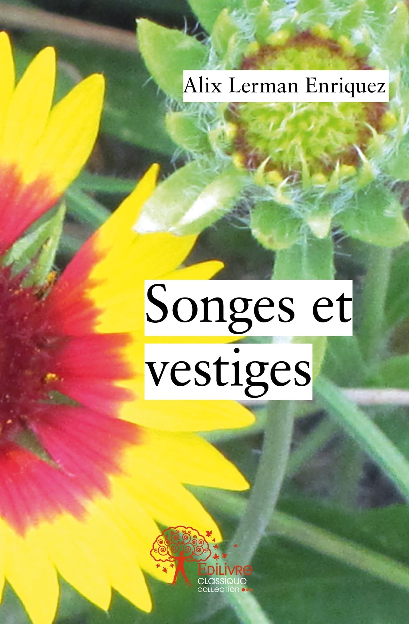 Songes et vestiges book