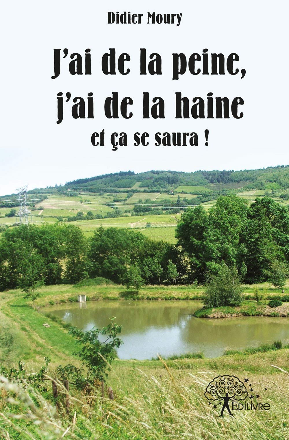 J'ai de la peine, j'ai de la haine et ca se saura ! book