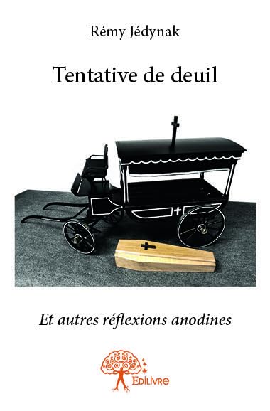 Tentative de deuil: Et autres réflexions anodines book
