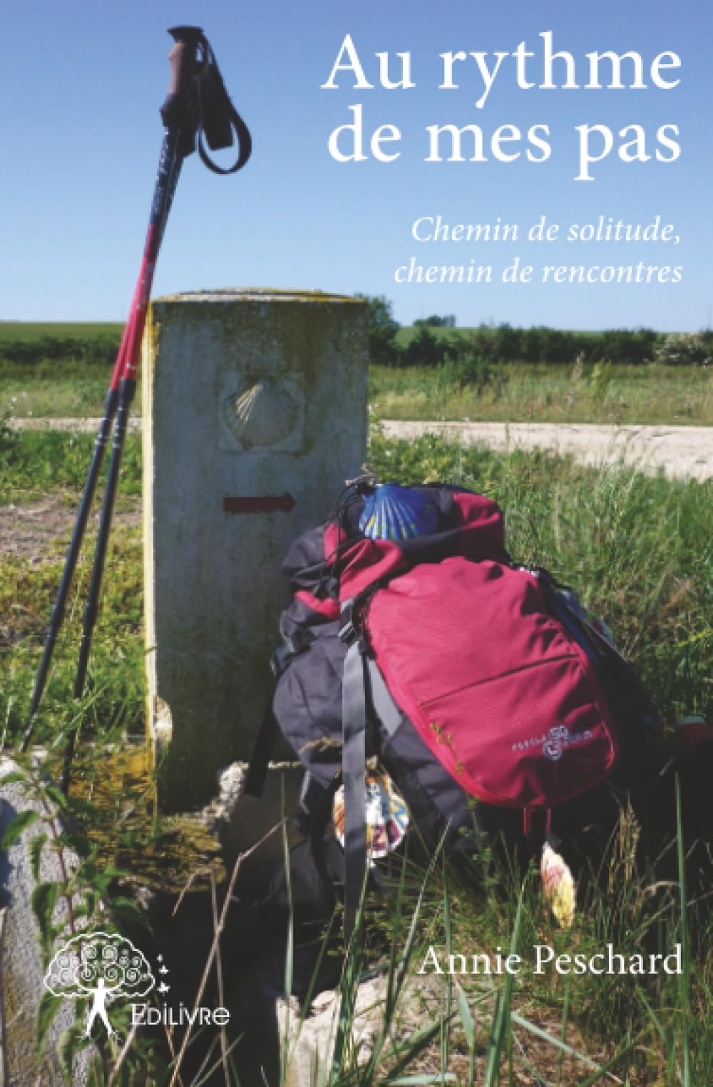 Au rythme de mes pas - Chemin de solitude, chemin de rencontres: Dans l'intimité d'une pèlerine Books