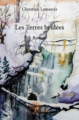 Les terres brûlées - roman Books