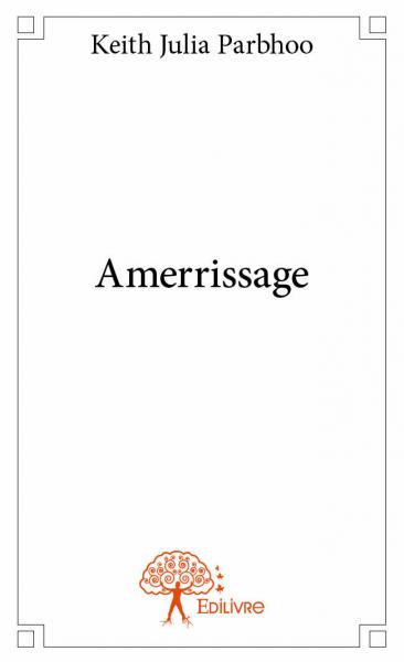 Product Image: Amerrissage