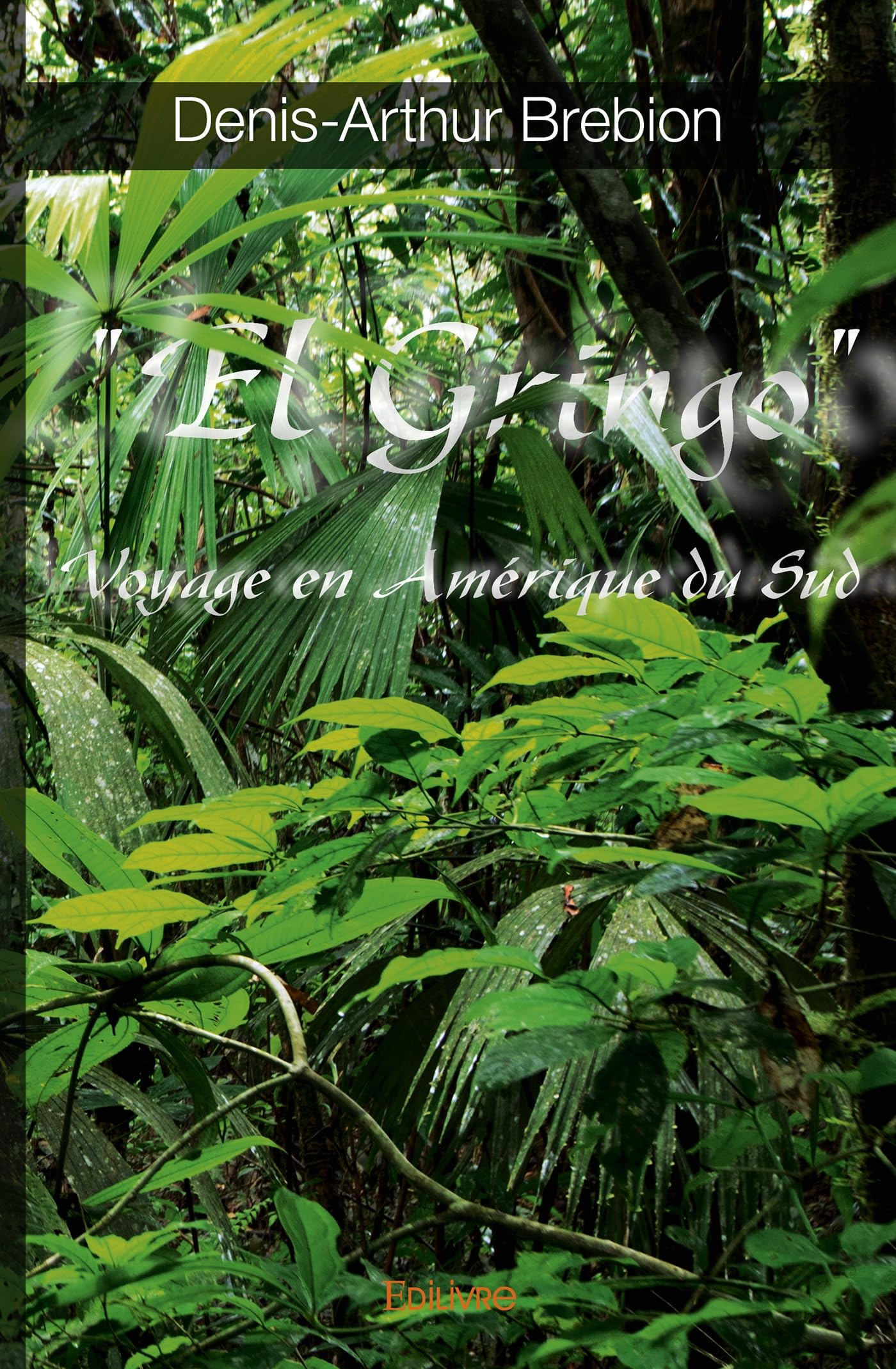 " El Gringo ": Voyage en Amérique du Sud book
