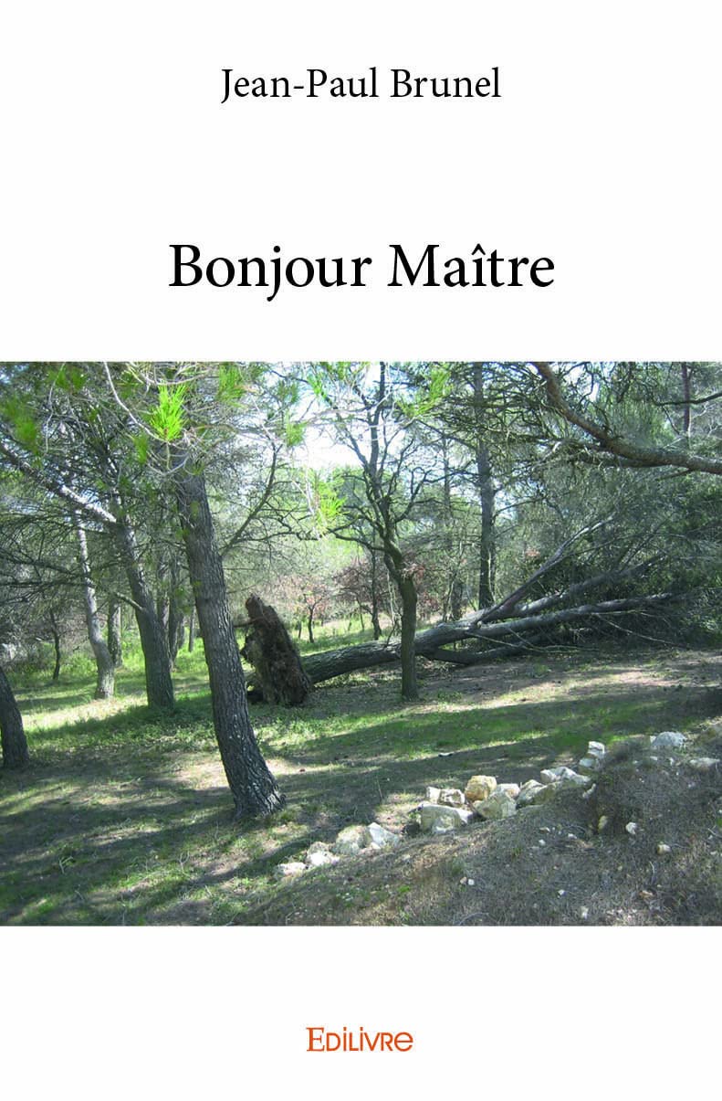 Bonjour Maître book