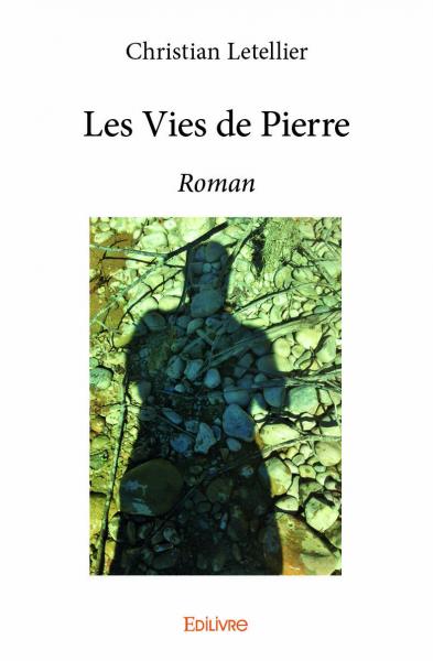 Les vies de pierre : Roman book