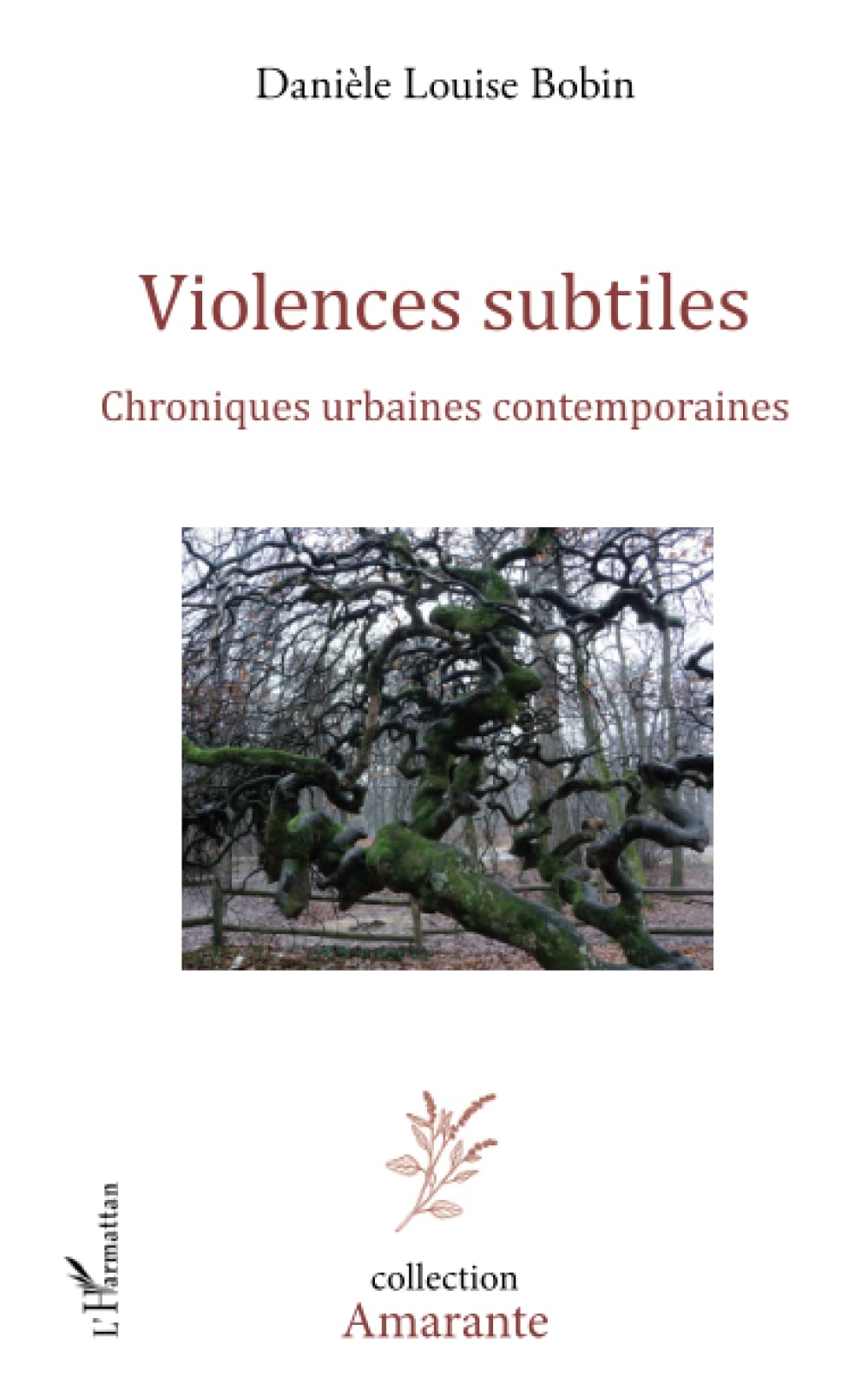Violences subtiles: Chroniques urbaines contemporaines book