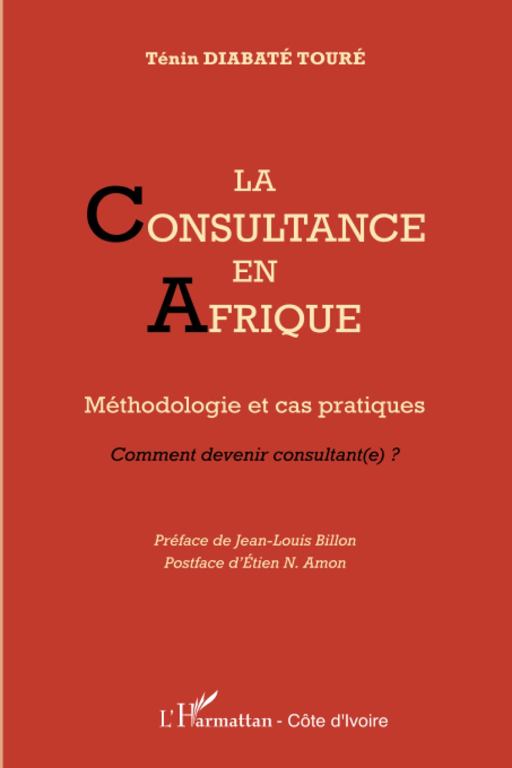 La consultance en Afrique: Méthodologie et cas pratiques Comment devenir consultant(e) ? book