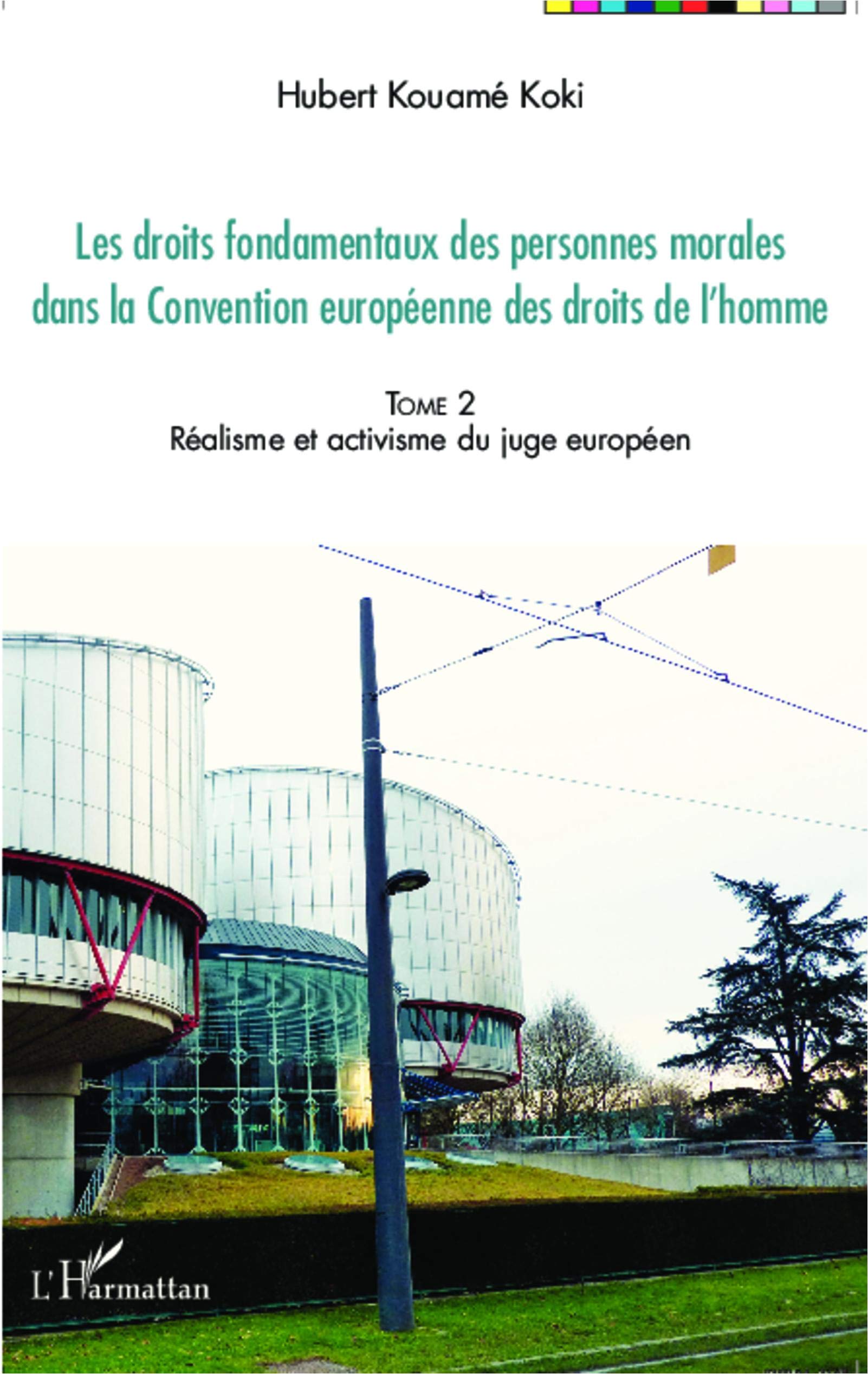 Les droits fondamentaux des personnes morales dans la Convention européenne des droits de l'homme: (Tome 2) Réalisme et activisme du juge européen book