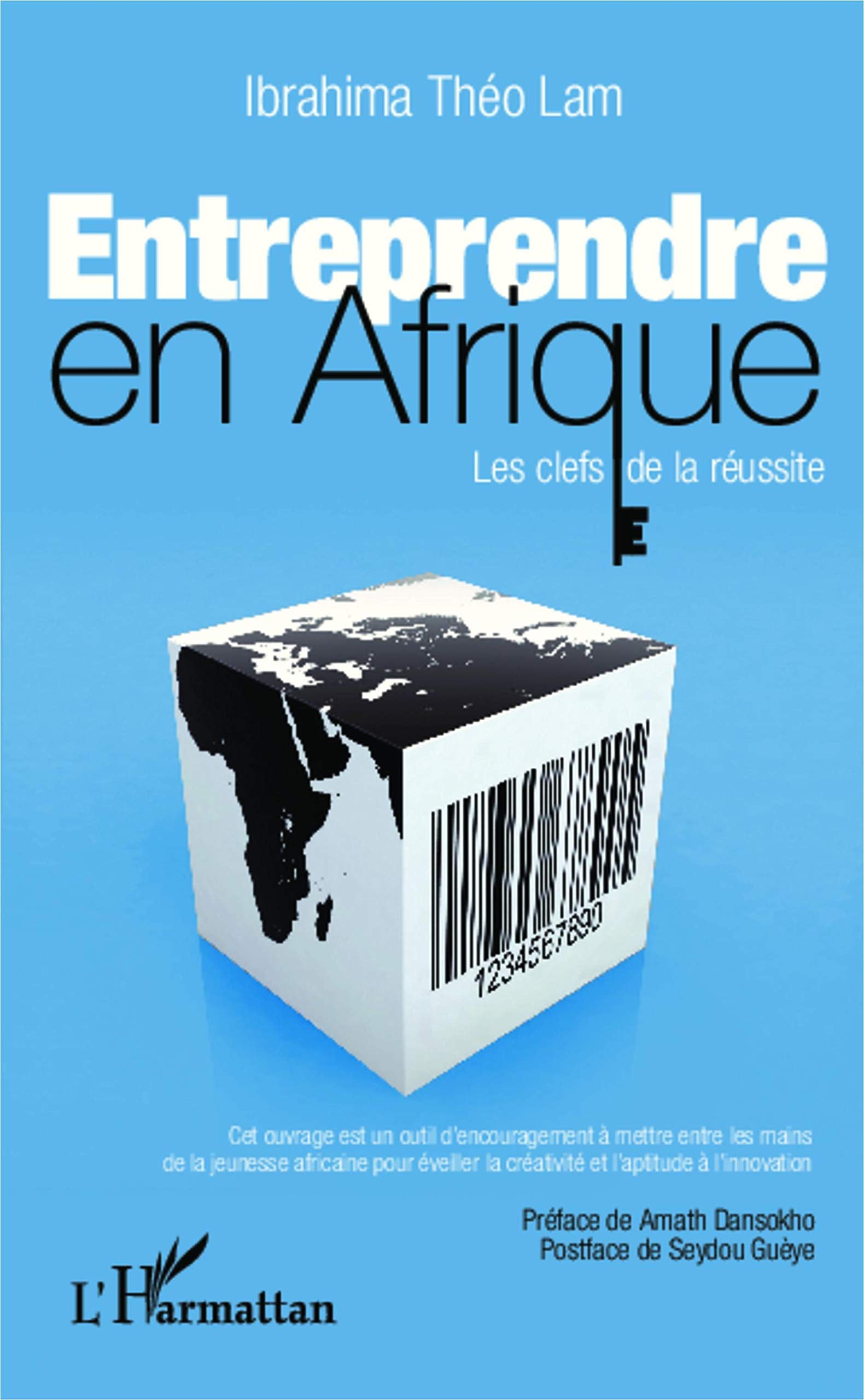 Entreprendre en Afrique: Les clefs de la réussite book