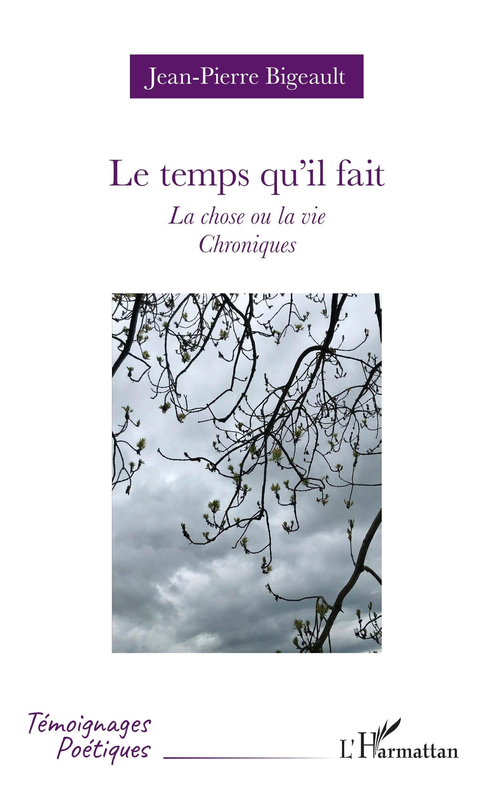 Le temps qu’il fait: La chose ou la vie - Chroniques book