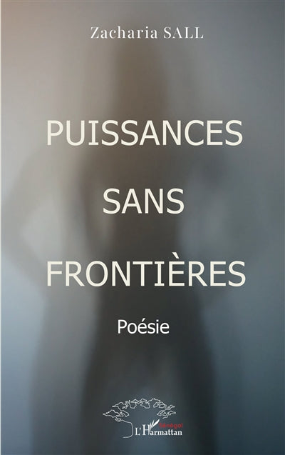 Product Image: Puissances sans frontières