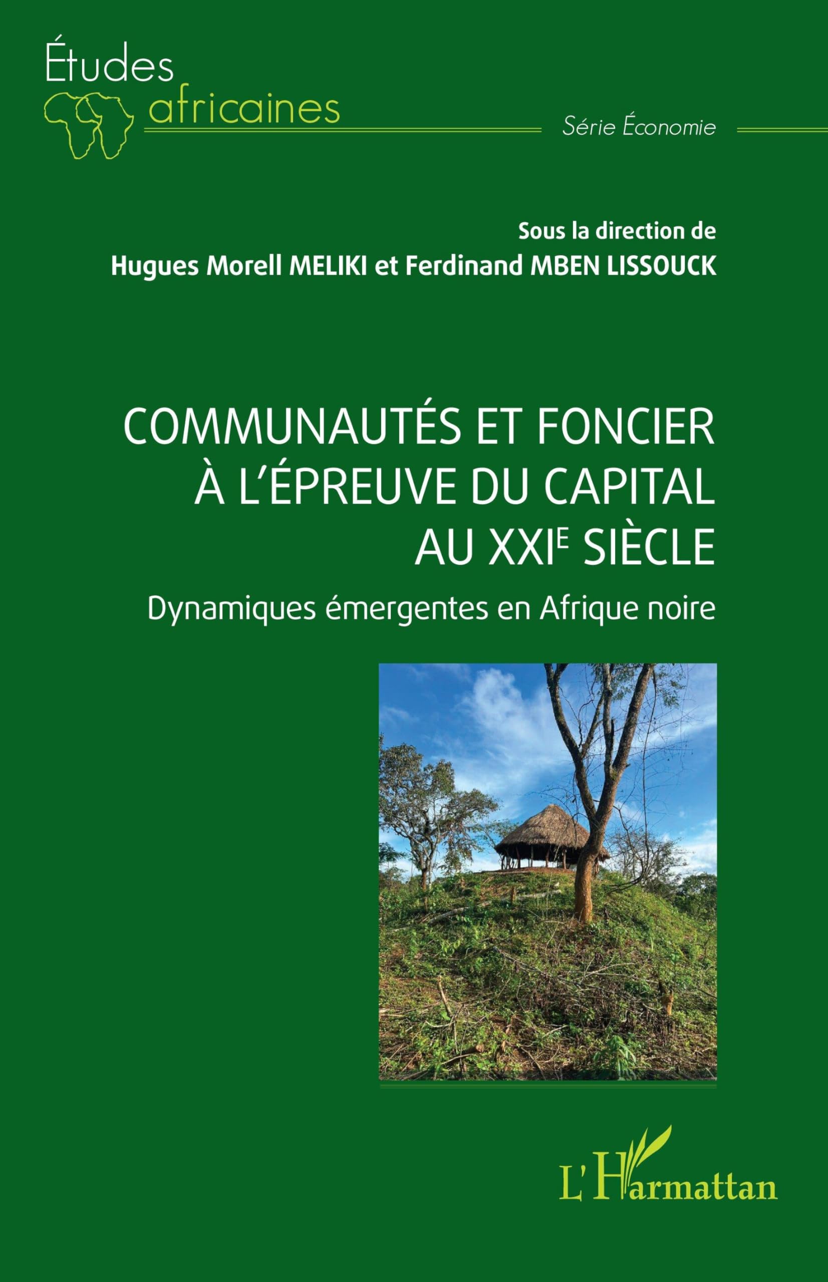 Communautés et foncier à l’épreuve du capital au XXIe siècle: Dynamiques émergentes en Afrique noire book