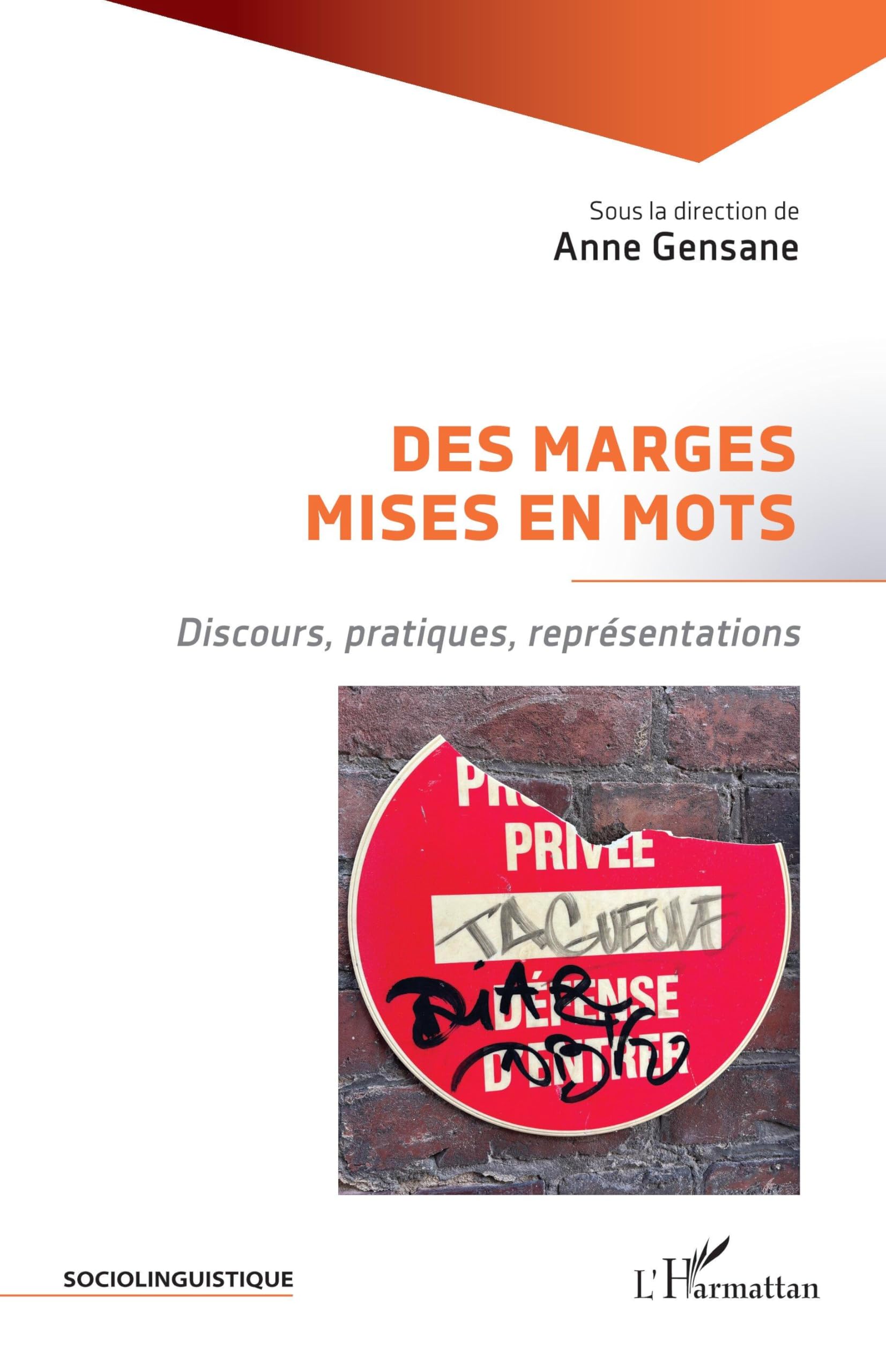 Des marges mises en mots: Discours, pratiques, représentations Social Sciences