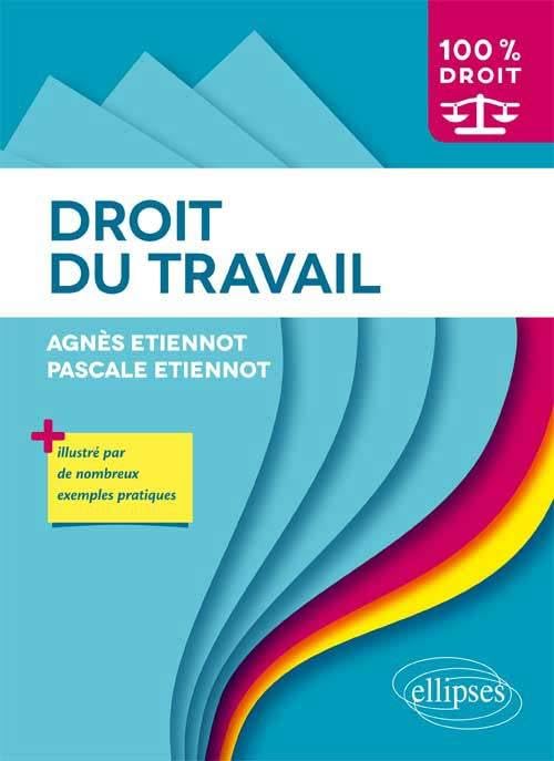 Droit du travail (100% Droit) Law