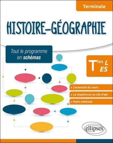 Histoire-Géographie - Terminales L et ES - tout le programme en schémas Non-fiction