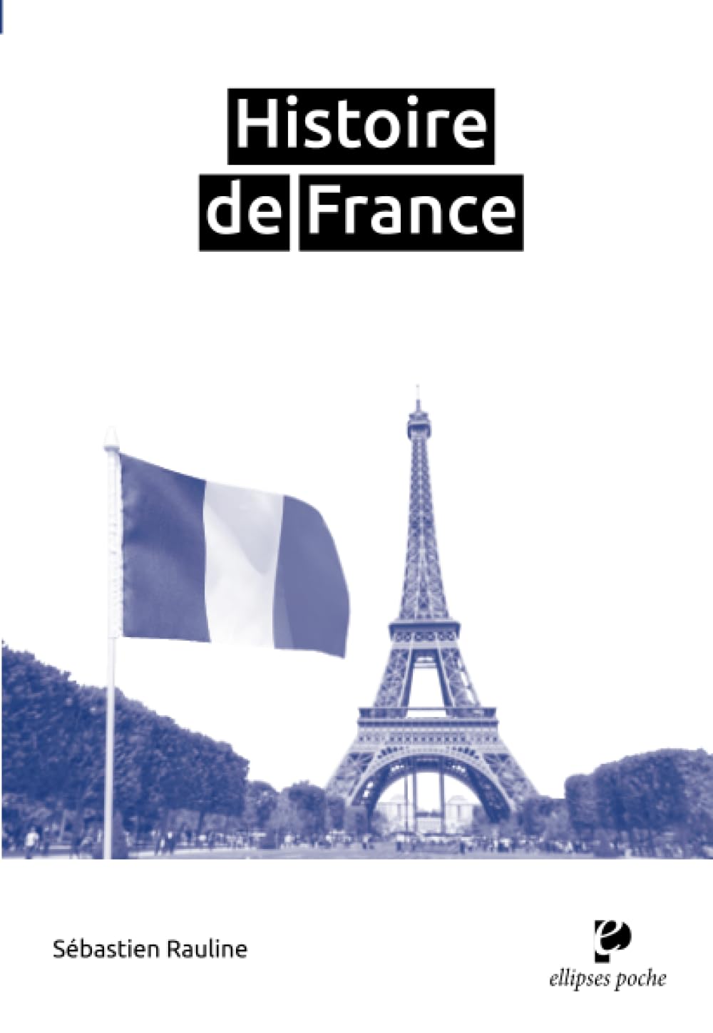 Histoire de France book