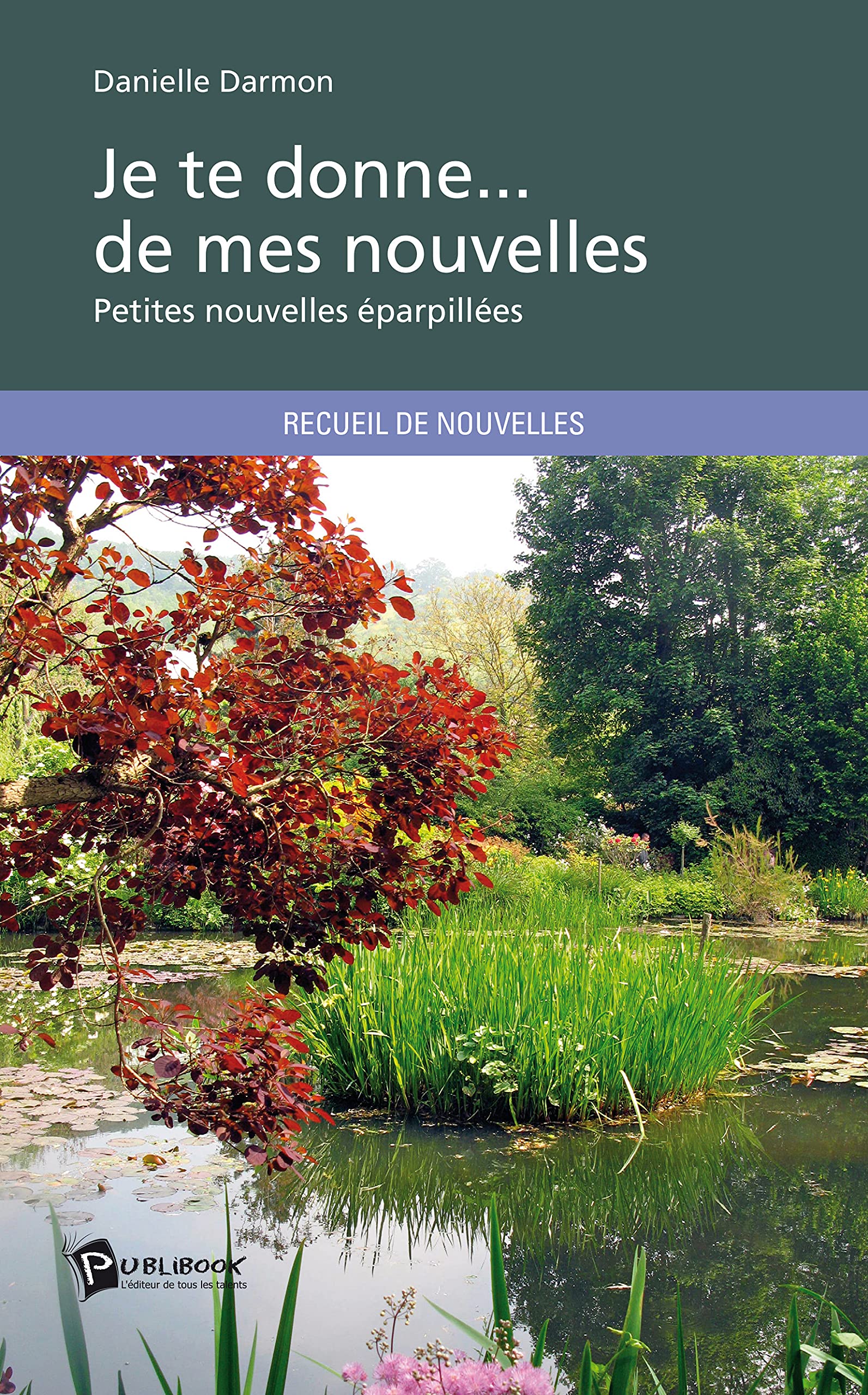 Je te donne... de mes nouvelles: Petites nouvelles éparpillées Books