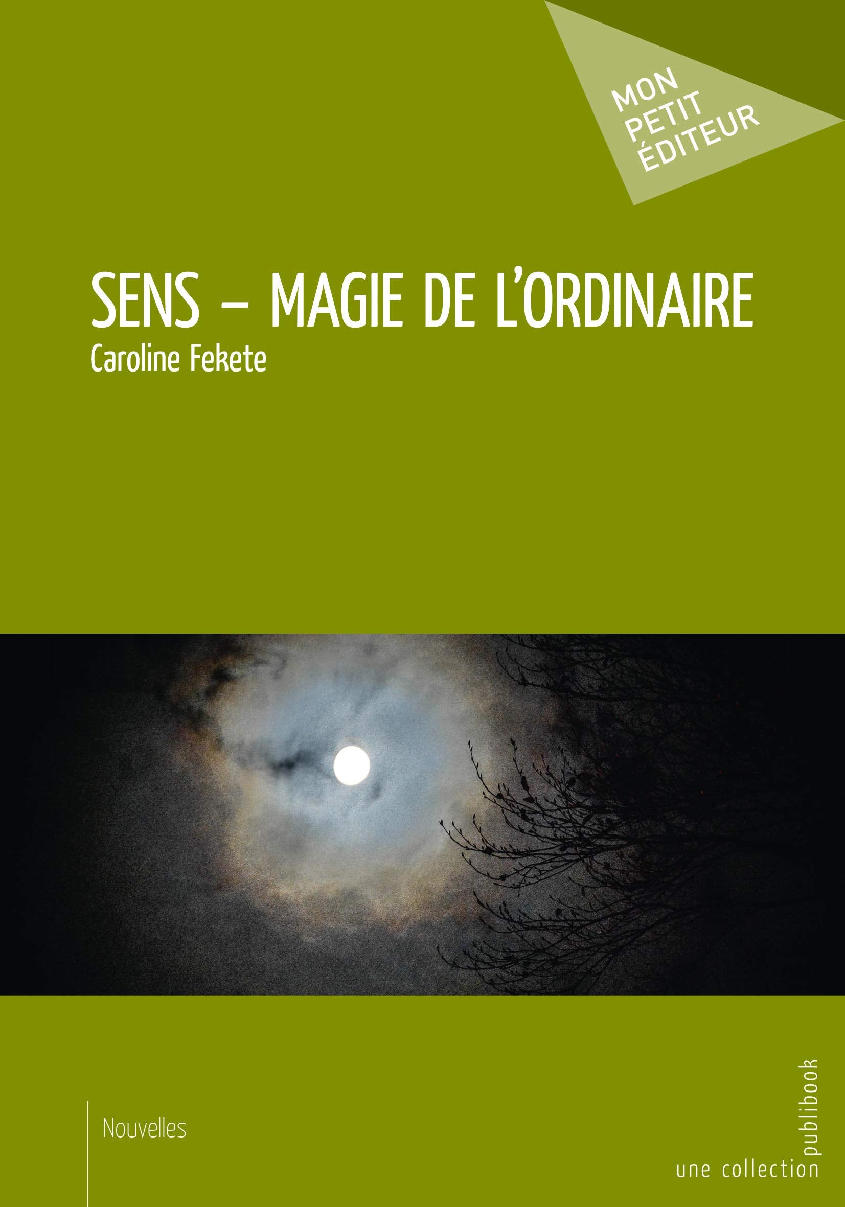 Sens - Magie de l'ordinaire book
