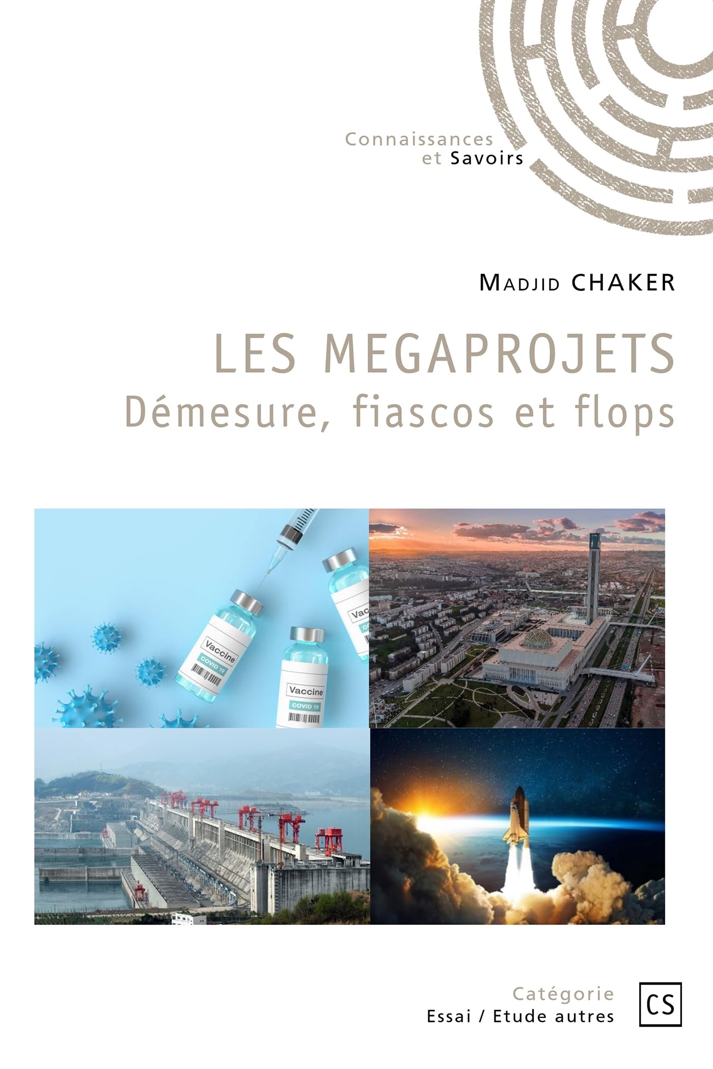LES MEGAPROJETS Démesure, fiascos et flops book