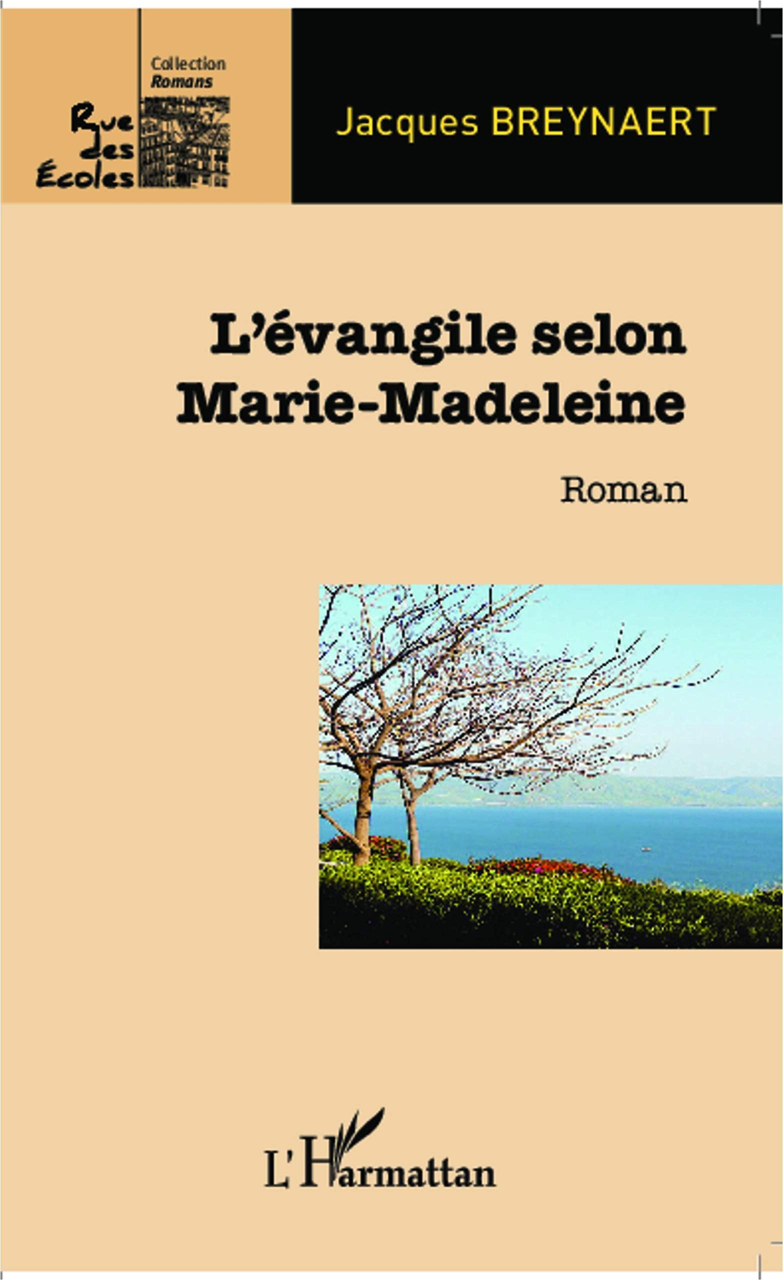 L'évangile selon Marie-Madeleine: Roman book