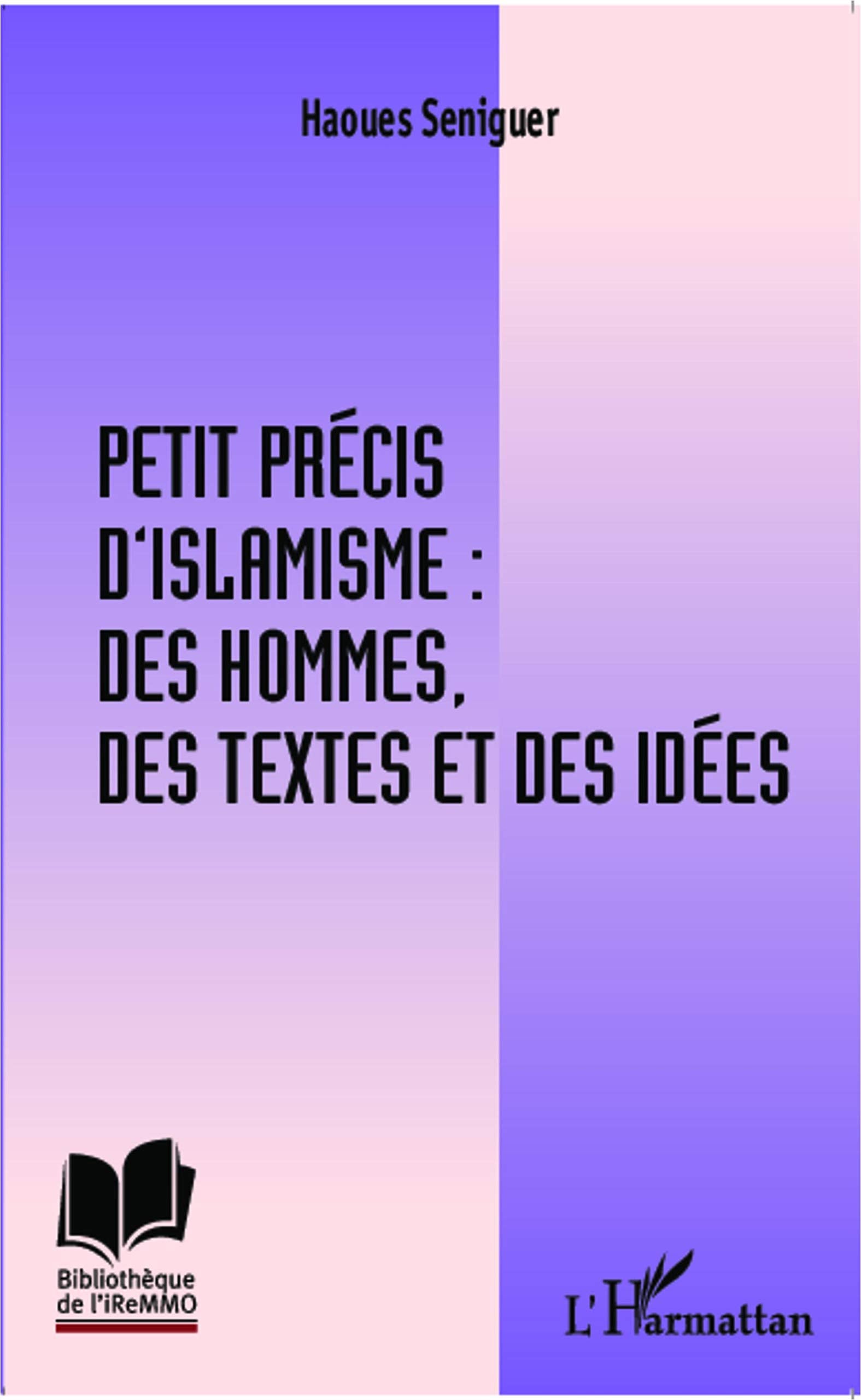 Petit précis d'islamisme : des hommes, des textes et des idées book