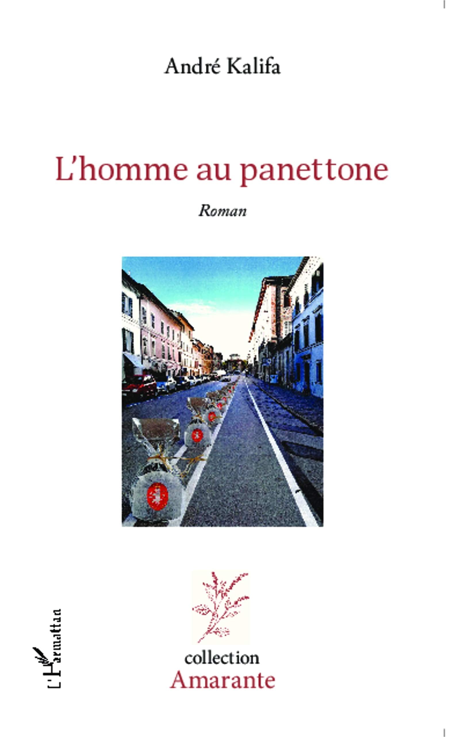 L' homme au panettone: Roman book